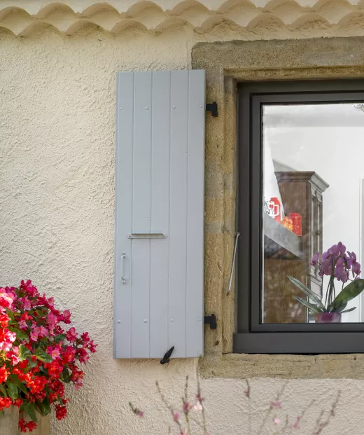 fenêtre vue extérieur avec fleurs