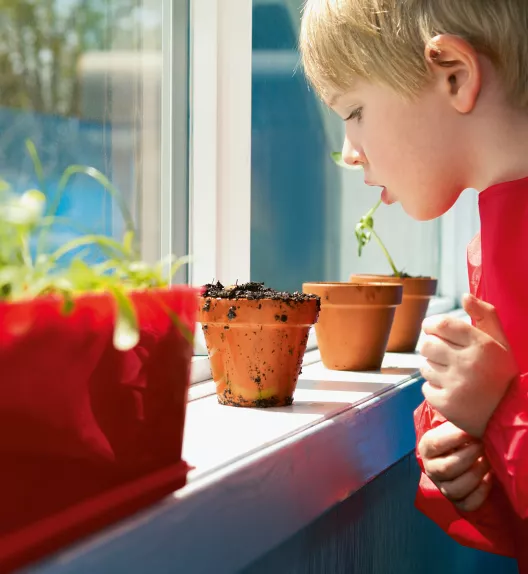 Enfant curieux observant attentivement des pots de fleurs alignés sur un rebord de fenêtre ensoleillé.