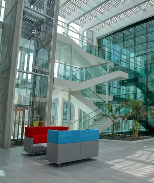 Fauteuils colorés disposés au centre, dans un hall moderne avec escalier blanc et grandes baies vitrées, entourés de plantes vertes et baigné de lumière naturelle.