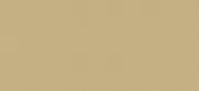 couleur-champagne-clair-satine