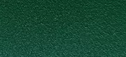couleur-vert-fonce-texture-ral-6005t