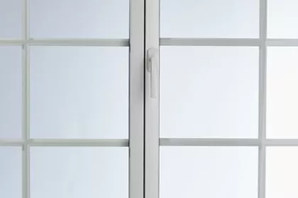pureté des lignes
