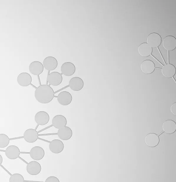 collection clarté porte d'entrée vitrée k-line